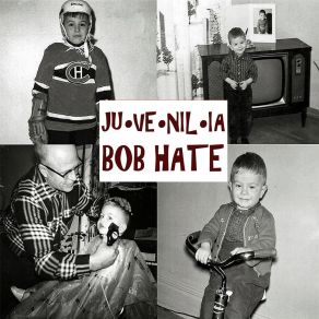 Download track Can't Seem To Say Goodbye Bob Hate