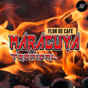 Download track Flor De Café Maracuya Tropical