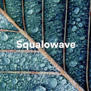 Download track Low Love Squalowave