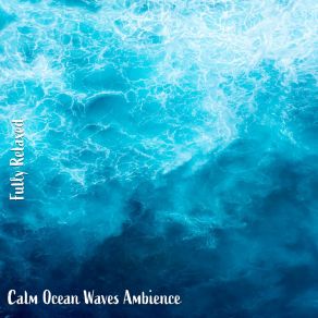 Download track Calm Ocean Waves Ambience, Pt. 13 Steve Brassel