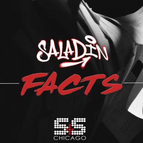 Download track Facts (Original Mix) Saladin