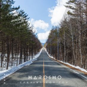 Download track Gilded Love HaroshoBrother Trip