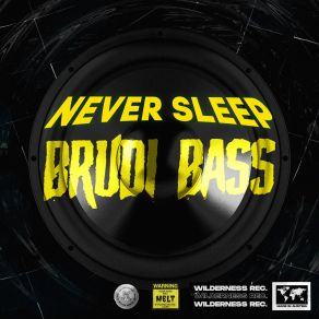 Download track Brudi Bass (Extended Mix) Never Sleep