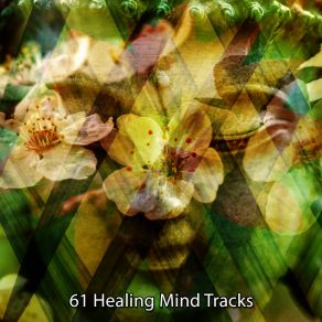 Download track Aura Of Emotion Music For Deep Meditation