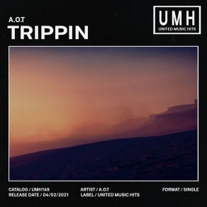 Download track Trippin (Extended Mix) A. O. T