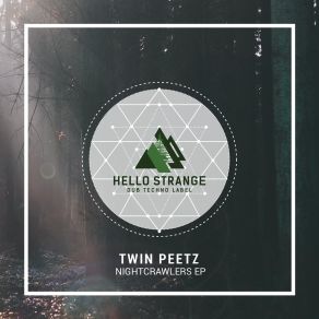 Download track Echo Chambers (Tinitus Mix) Twin Peetz