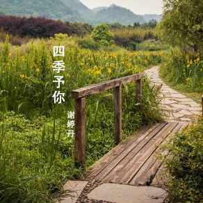 Download track 推开世界的门 谢婷丹