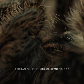 Download track Soana (Rushkeys Remix) Tristan De LiegeRushkeys, Cameo Adele