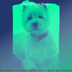 Download track Phenomenal Walking Your Dog Jazz For Dogs Classics