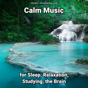 Download track Relaxing Music For Kids Yoga