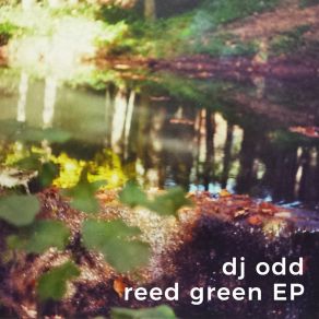 Download track Ram Dj Odd