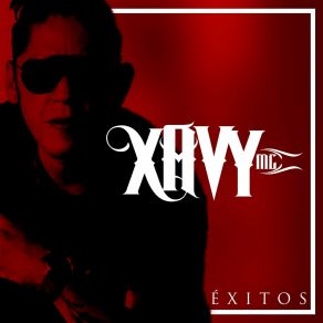 Download track Hoy Quiero Gritar Xavy Mc