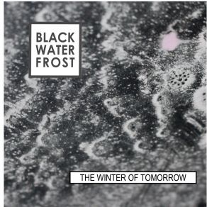 Download track Mutation Begins Black Water Frost