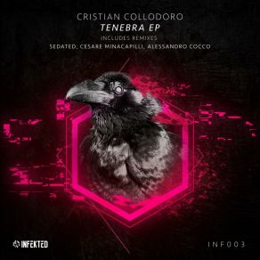 Download track Acid Enigma Cristian Collodoro