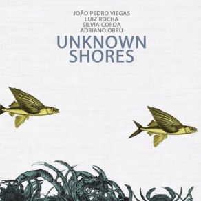 Download track Unknown Shores Joao Pedro Viegas, Adriano Orru, Luiz Rocha, Silvia Corda