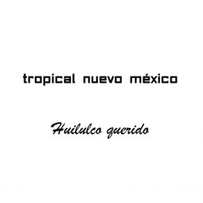 Download track Marisol Tropical Nuevo México