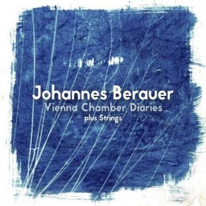 Download track Divertimento In Blue, Pt. 1 Johannes Berauer