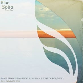 Download track Fields Of Forever (Radio Edit) Geert Huinink, Matt Bukovski