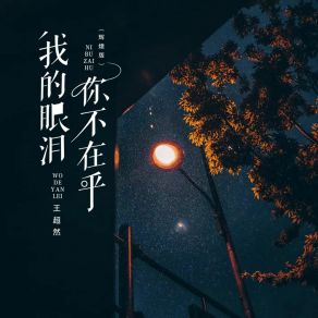 Download track 我的眼泪你不在乎 (辉煌版) Banan