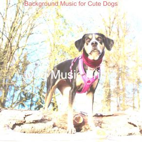 Download track Modern Backdrops For Separation Anxiety Dog Music Prime