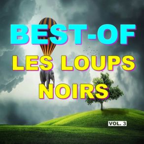 Download track Ananas Les Loups Noirs