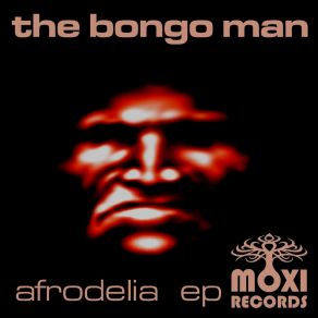 Download track Wobble Bottom The Bongo Man