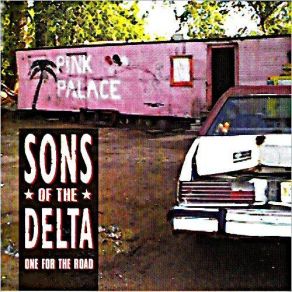 Download track What You Want To Hear Sons Of The Delta