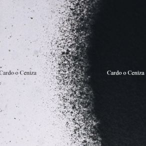 Download track Cardo O Ceniza Miki González