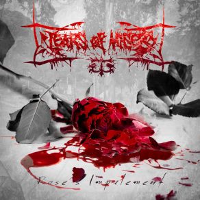 Download track Desmembramiento Selectivo Tears Of Misery