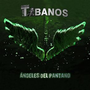 Download track A Cada Golpe Los Tabanos