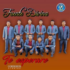 Download track Te Alabo Fuente Divina