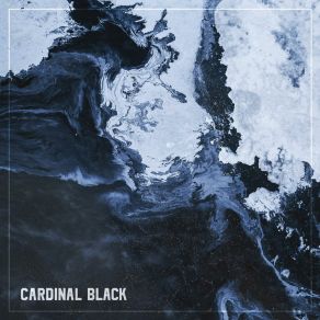 Download track Tell Me How It Feels Black Cardinal