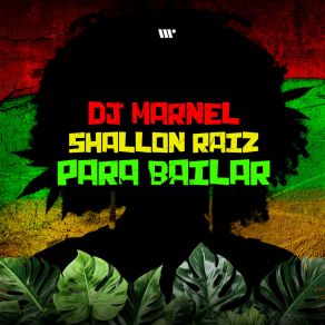 Download track Para Bailar Shallon Raiz