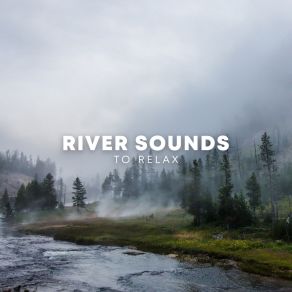 Download track Rain Sounds For Relaxing Rain Sounds