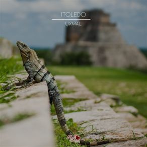 Download track Canto Maya IToledo