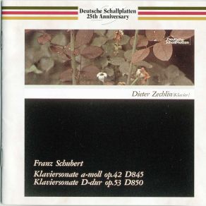 Download track 7 In D, D. 850, 3. Scherzo Dieter Zechlin