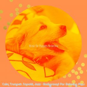 Download track Hip Backdrops For Sleepy Puppies Music For Puppies Orchestra