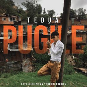 Download track Pugile Tedua