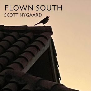 Download track Chamomilia Scott Nygaard