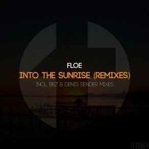 Download track Into The Sunrise (Denis Sender Remix) Floe