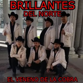 Download track La Campesina Brillantes Del Norte