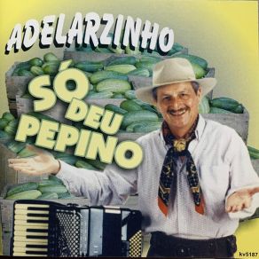 Download track De Rodeio Em Rodeio Adelarzinho