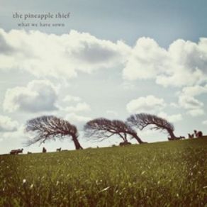 Download track Deep Blue World The Pineapple Thief