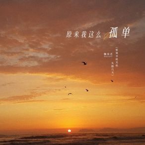 Download track 原来我这么孤单 (如果手机关机失踪几天伴奏) 魏佳艺