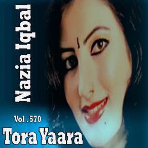 Download track Da Belthana Pa Ghro Nazia Iqbal