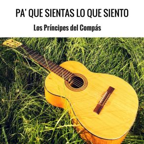 Download track A Adorarte Me Dediqué Los Príncipes Del Compás