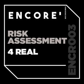 Download track 4 Real (Worth The Risk Dub) Risk Assessment