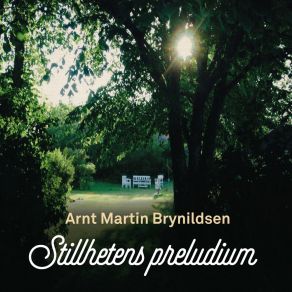 Download track Eftermiddag I Byen Ketil Furberg