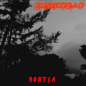 Download track Februus Nightcap