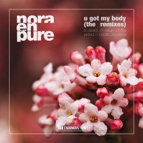 Download track U Got My Body (Cedric Zeyenne Club Mix) Nora En Pure